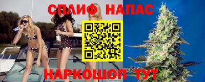 стаф Малоярославец