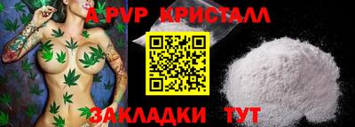 стаф Малоярославец
