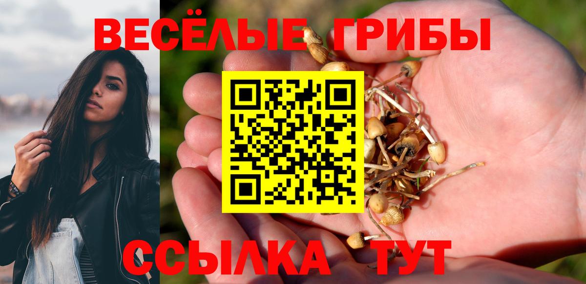 Галлюциногенные грибы прущие грибы Симферополь